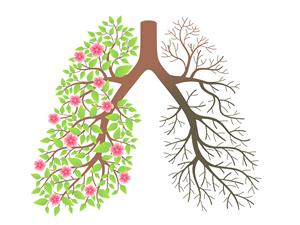 Всемирный день без табака Всемирный день без табака